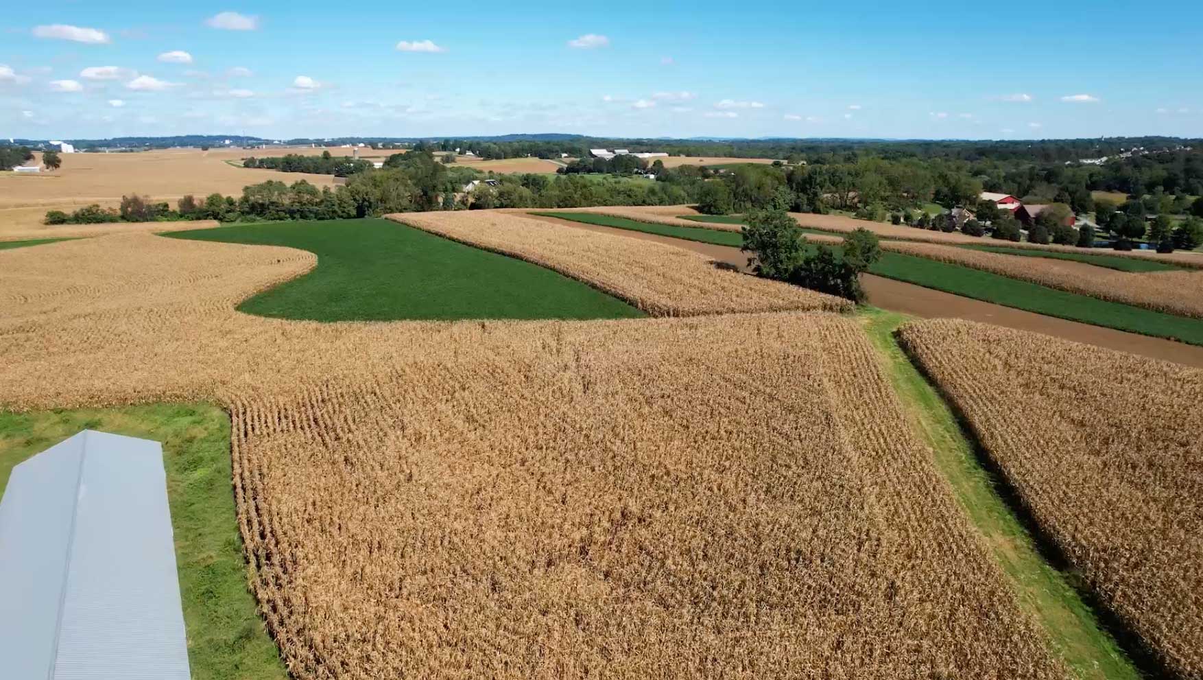 A wide aerial view of a field.