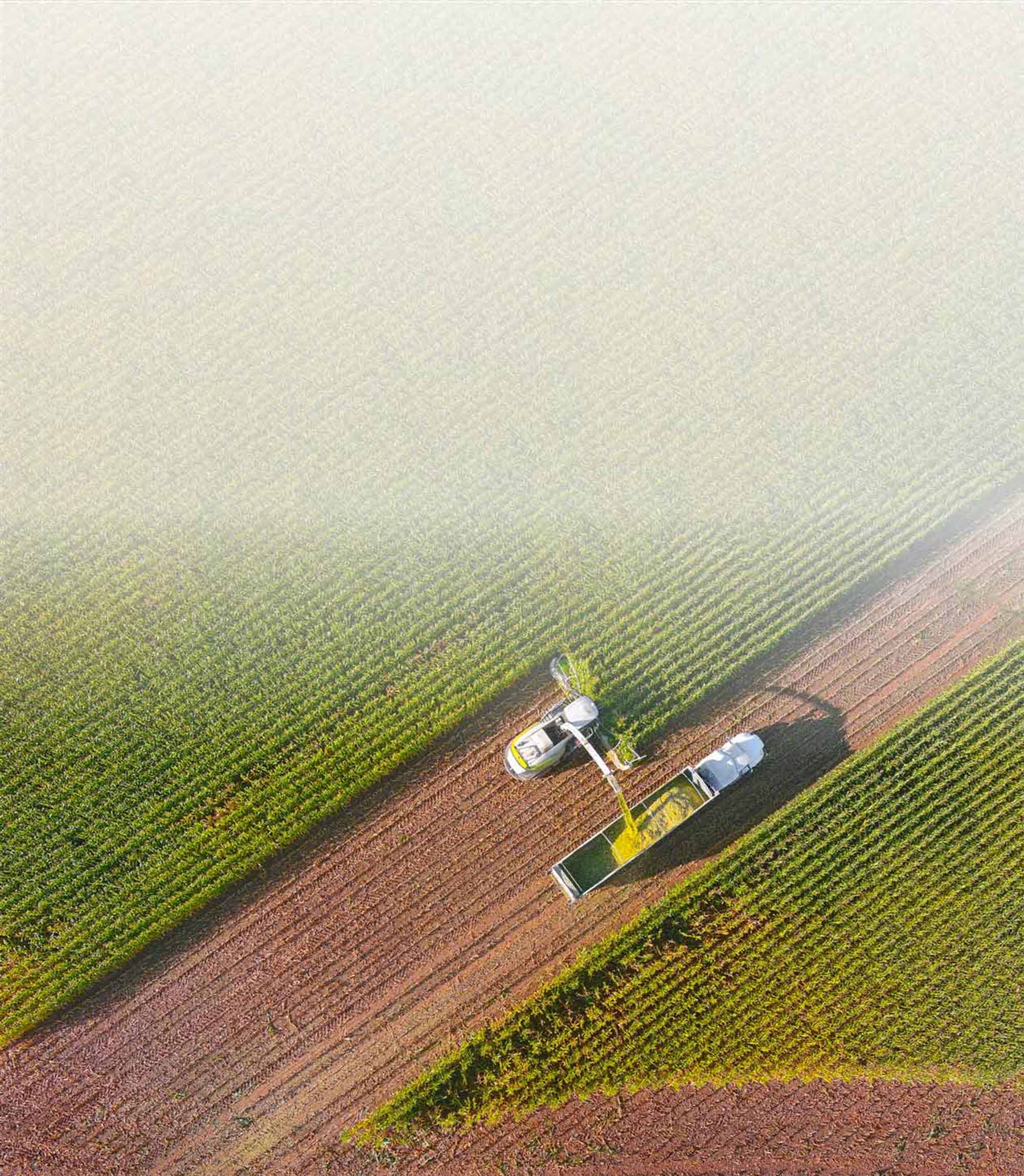 Birds-eye view of a farm field.