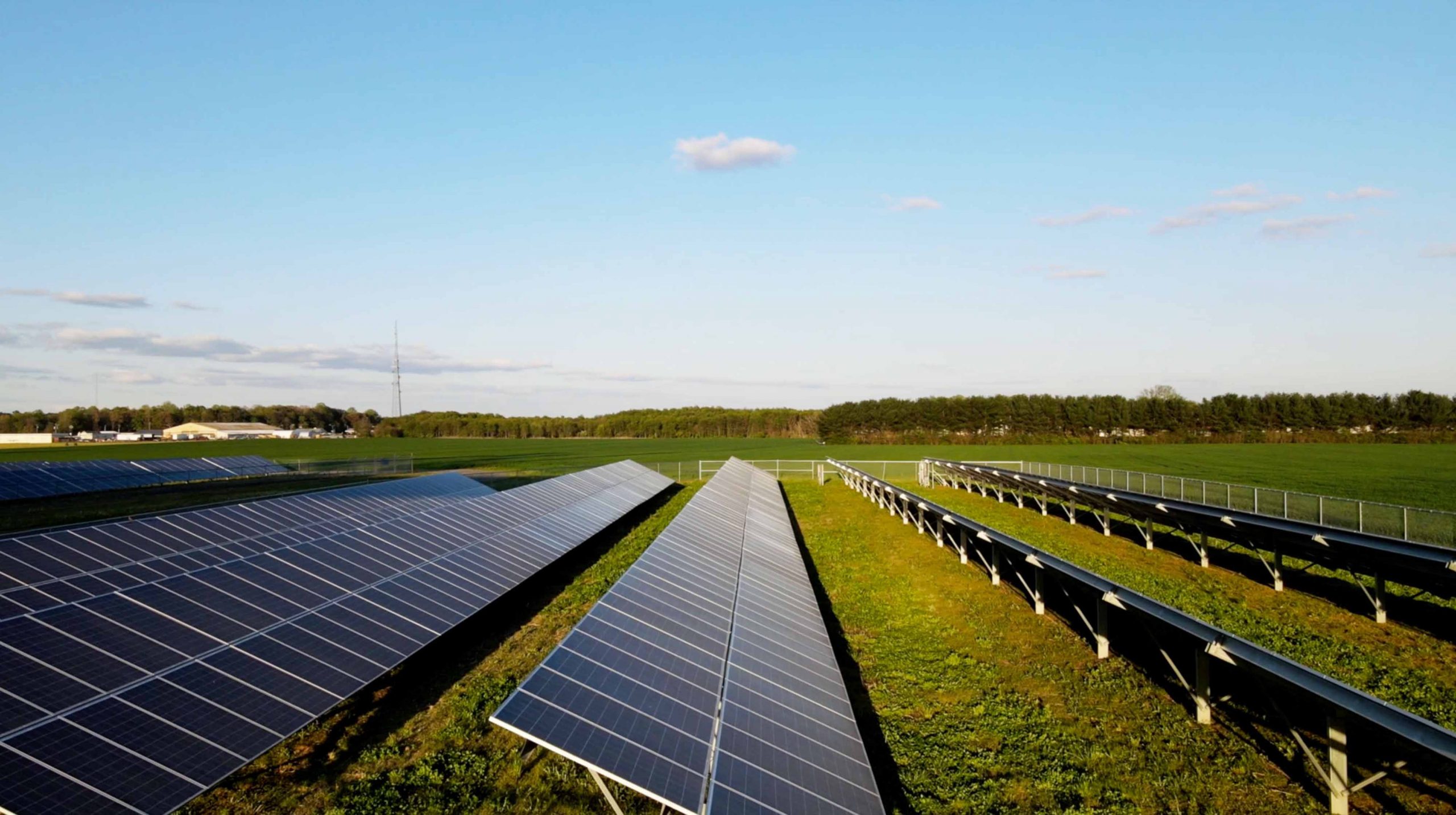 Solar panels in a green field.