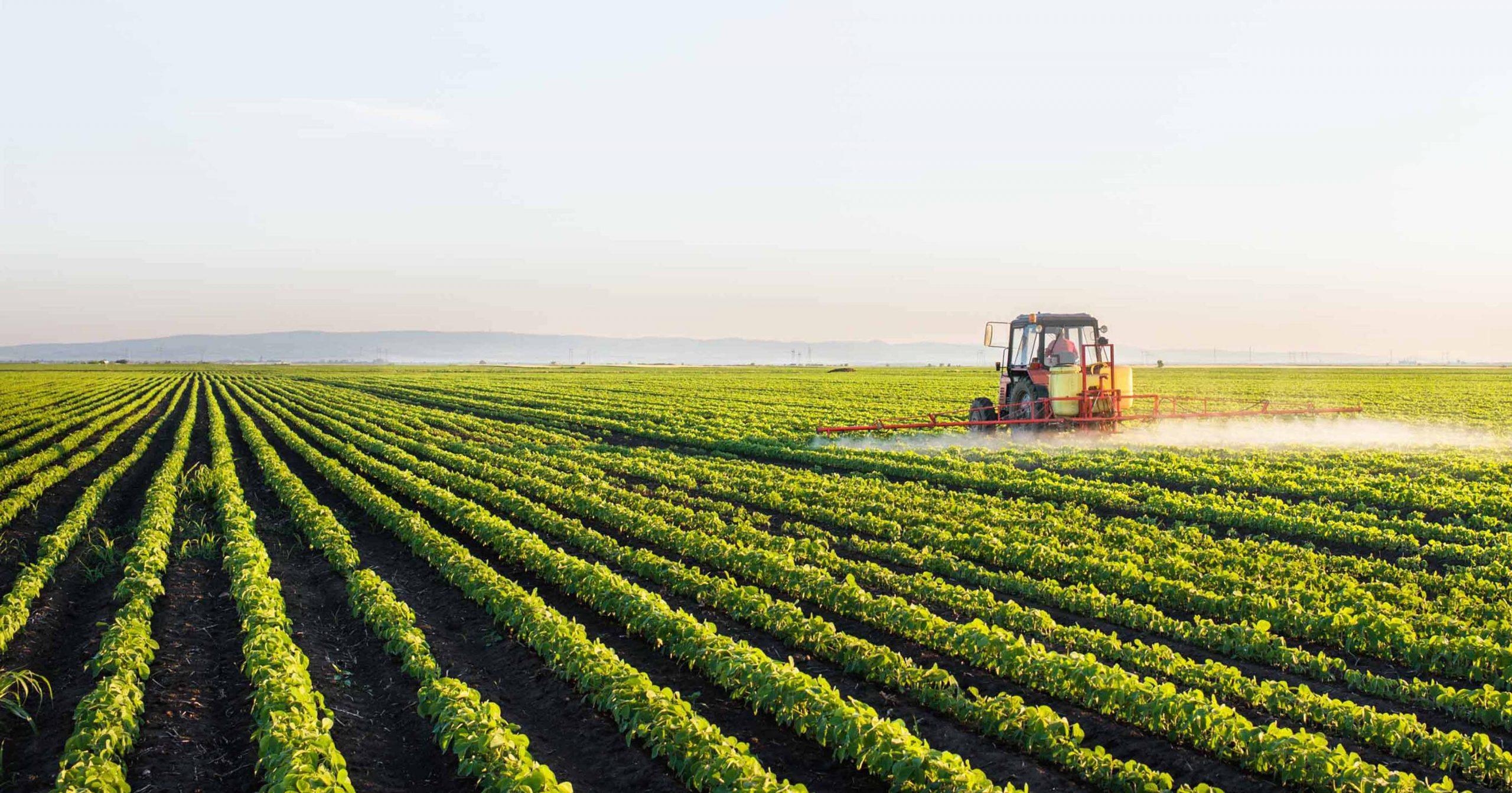 A Tractor and a soybean field.