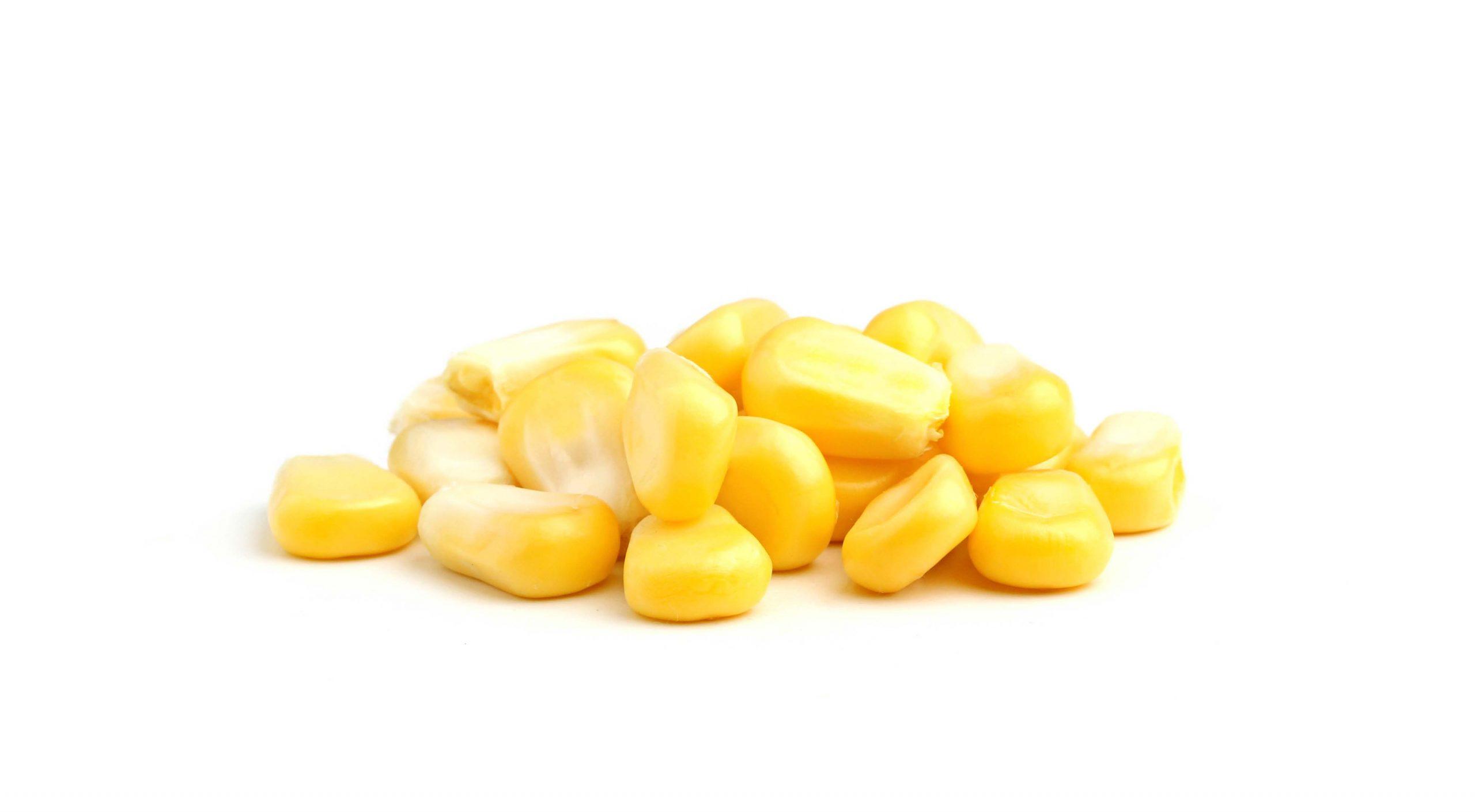 A small pile of corn on a white background.