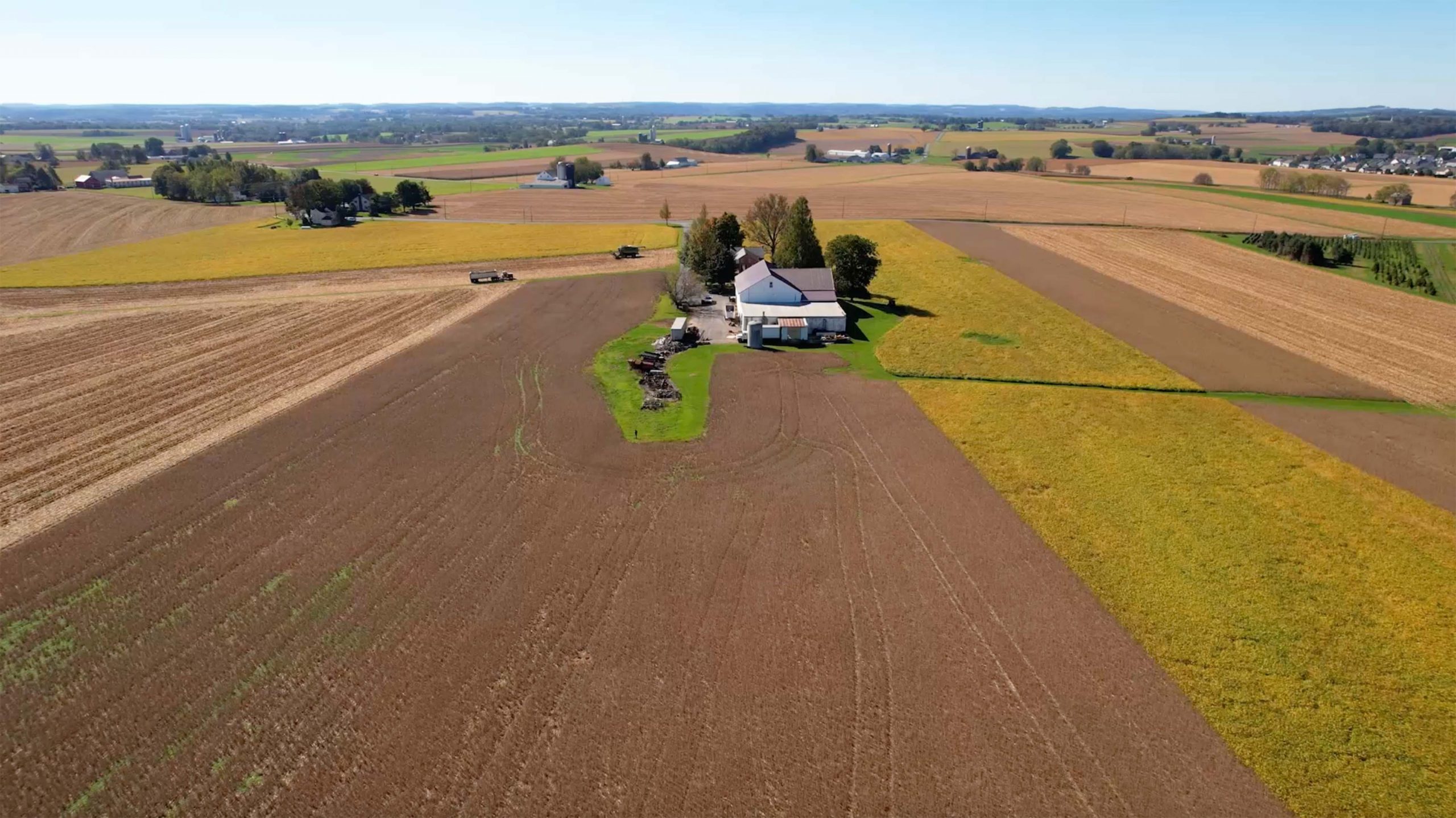Wide shot of farm field.
