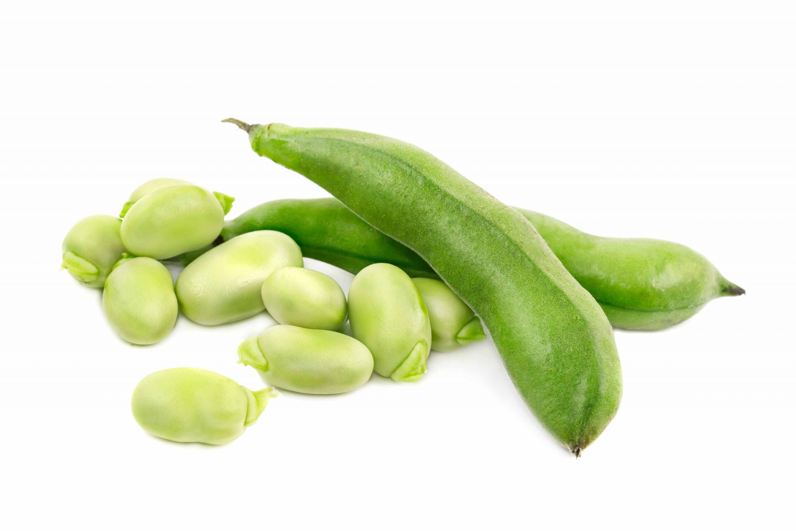 Two soybean pods with soybeans next to them on a white background.