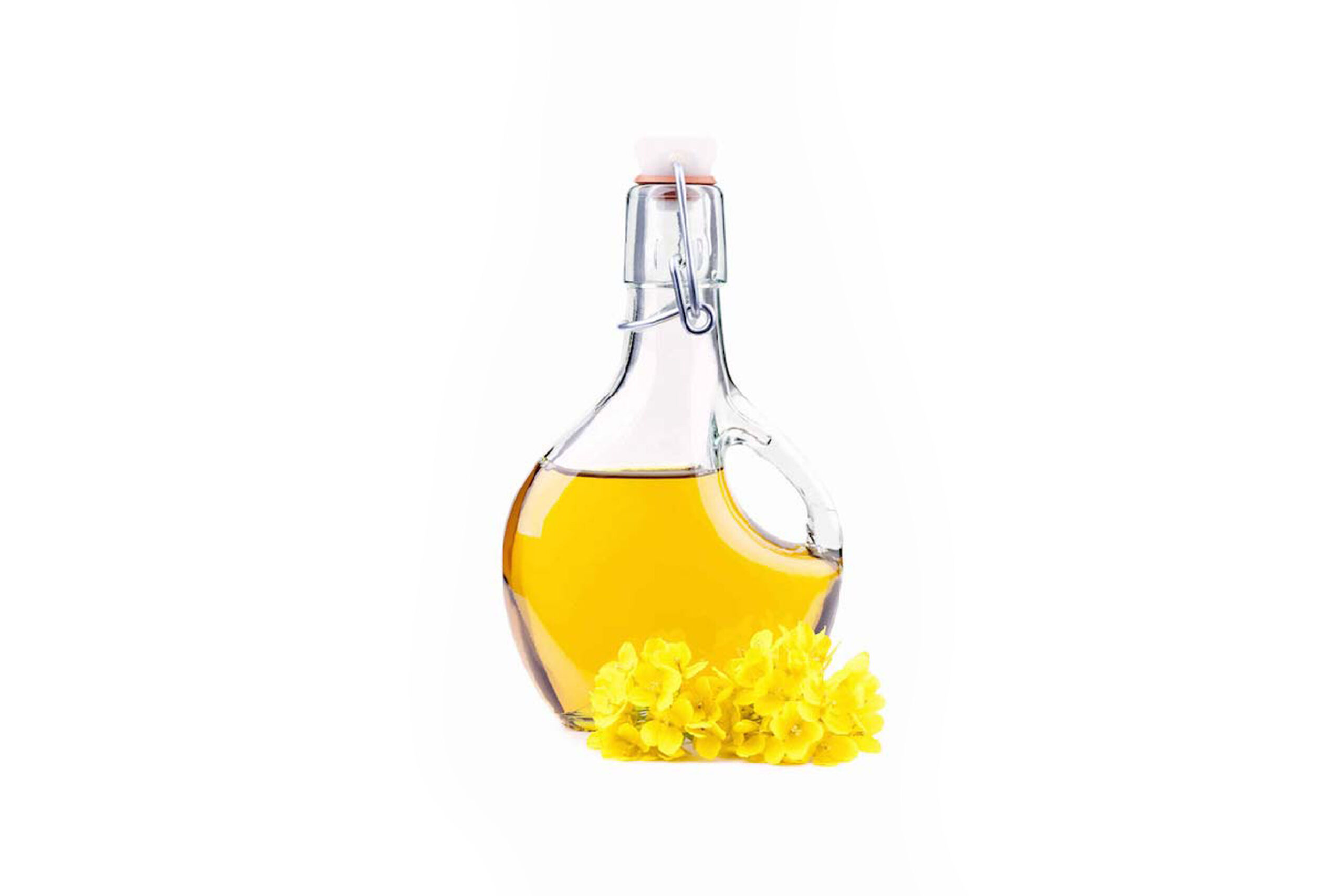 A glass jar of canola oil with rapeseed blooms in the bottom front all on a white background.