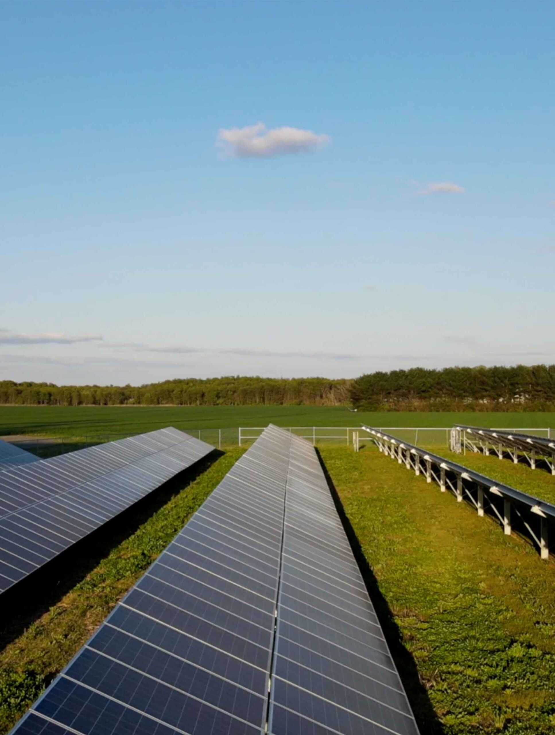 Solar panels in a green field.