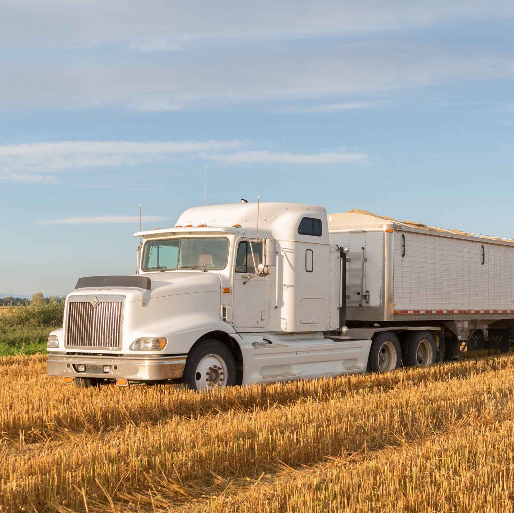 Semi-truck parked in a wheat field.