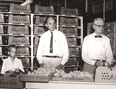 Vintage photo of 3 generations of farmers standing in front of baby chickens.